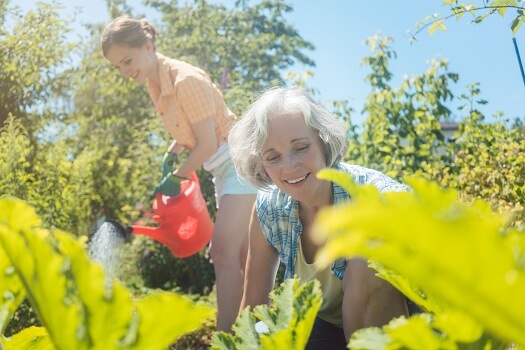 Homecare Services Edmonton